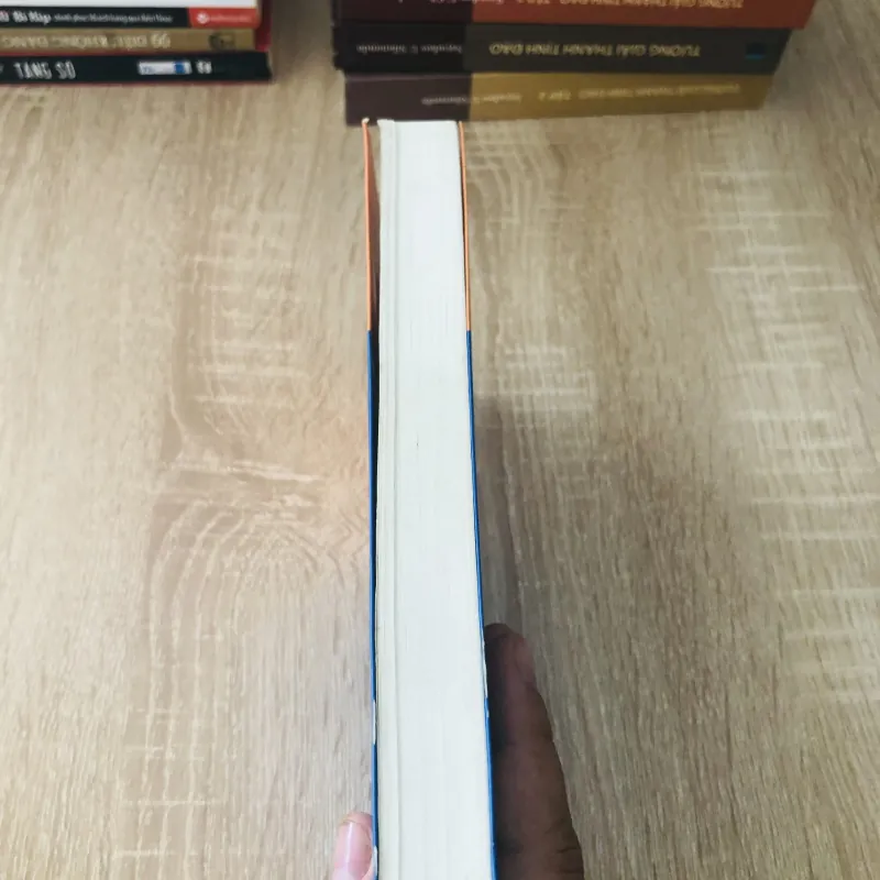 PHI LÝ TRÍ 1020474