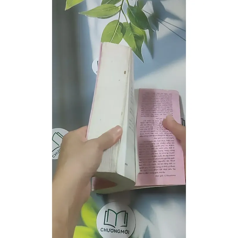 Nhật ký lấy chồng - Nhân Hải Trung 688623