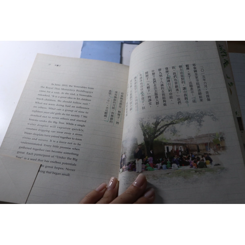 Under the Big Tree 大樹下 2016 467734