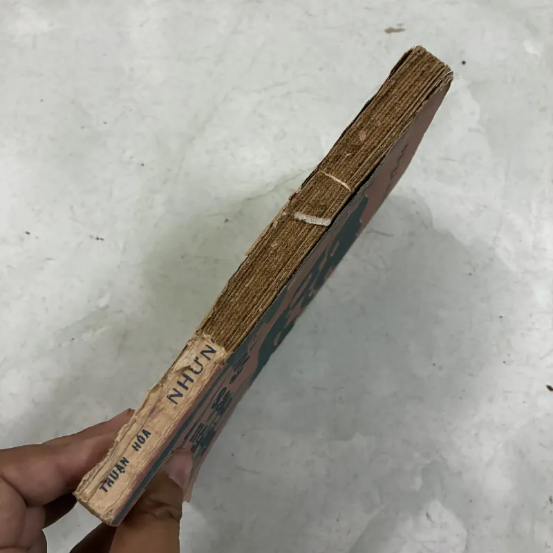 Những ngôi sao ban ngày 1025679