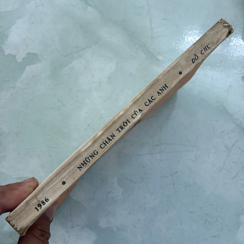 Những chân trời của các anh - Đỗ Chu 996266