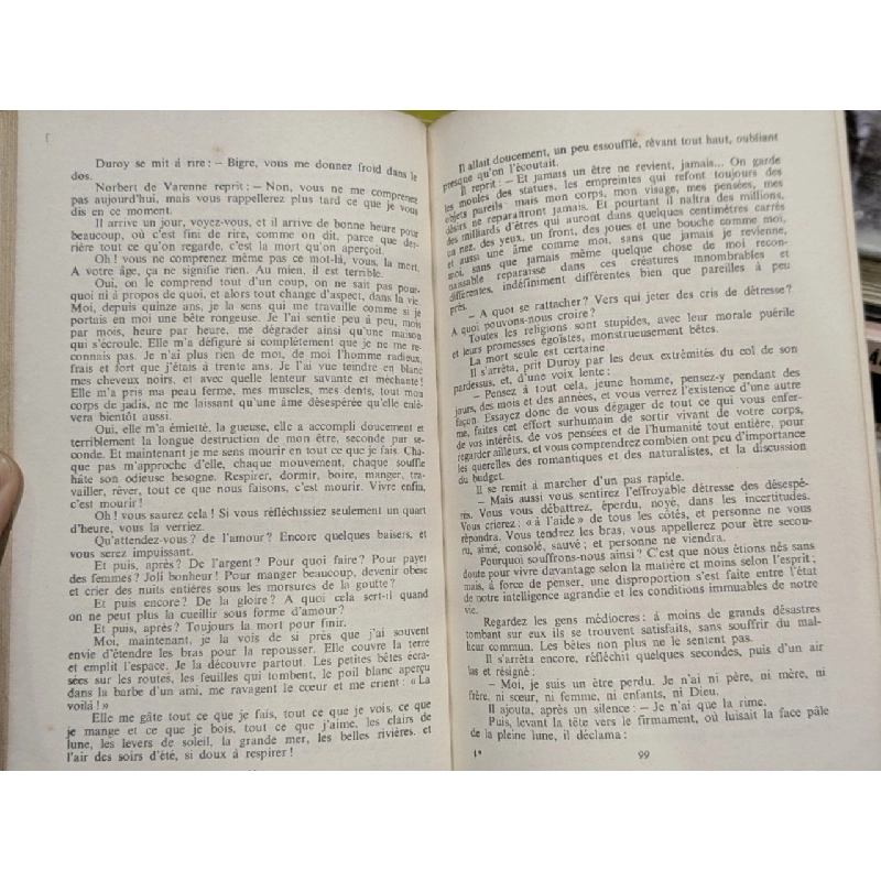 Guy de Maupassant - Bel Ami 784671