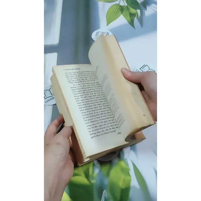 Nợ Em Một Vòng Tay 744713