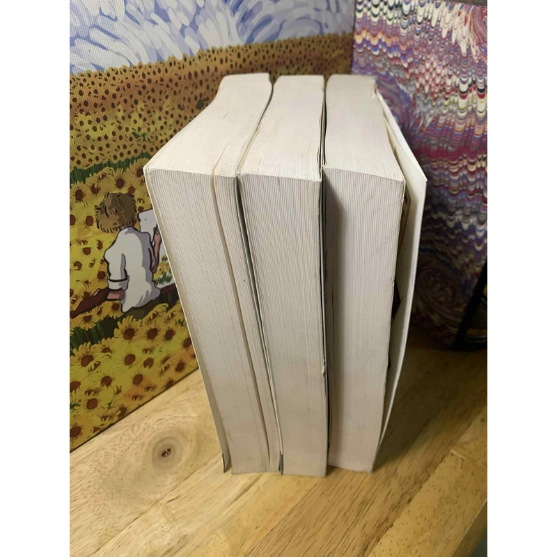 Bước Vào Thế Giới Hồi Giáo - V S Naipaul 538008