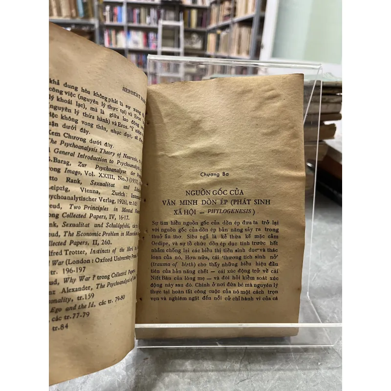 DỤC TÍNH VÀ VĂN MINH - HOÀNG THIÊN NGUYỄN 753694