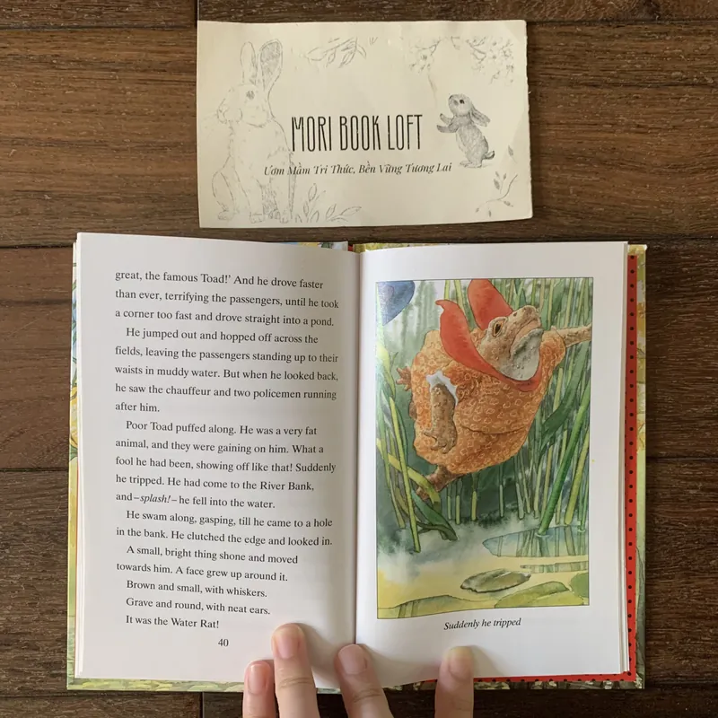 Sách ngoại văn The Wind in The Willow, Used, Bìa cứng 577040