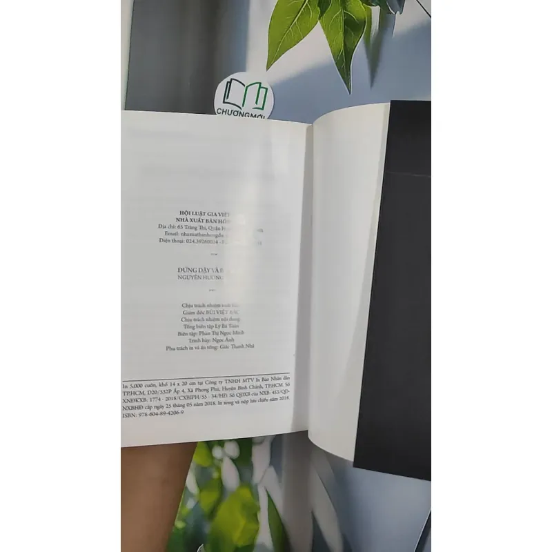 Đứng Dậy Và Bước Đi - Nguyễn Hướng Dương 798428