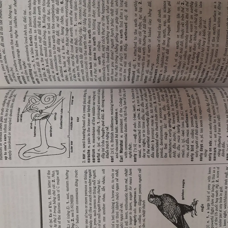 Từ điển Anh Anh Việt 571402