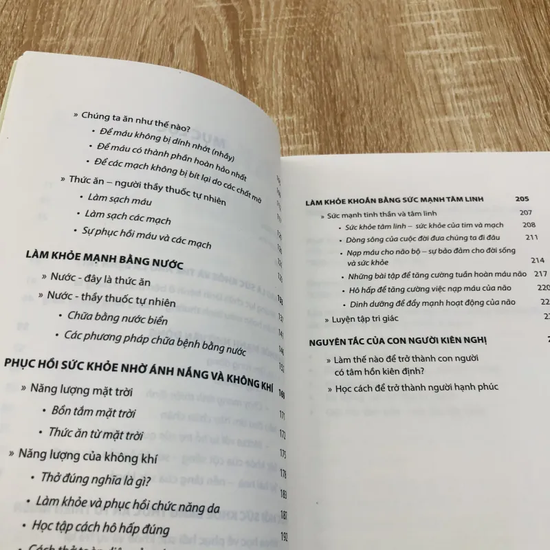 LÀM SẠCH MẠCH MÁU  968660