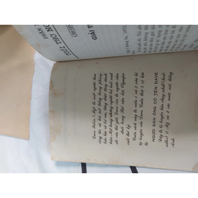 CHÚ BÉ LẠC LOÀI 493437