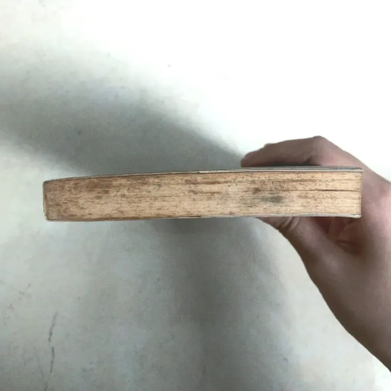 Giá Quay Ngược Được Chiều Năm Tháng 🐰 606183