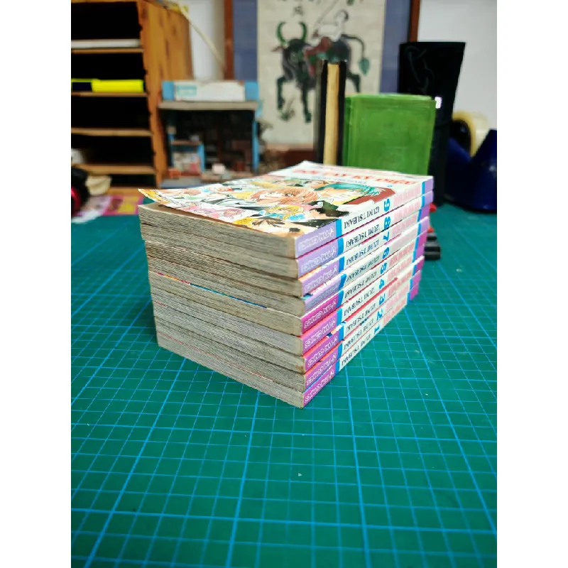 Truyện Tranh Đôi Tay Kỳ Diệu - Izumi Tsubaki 717578