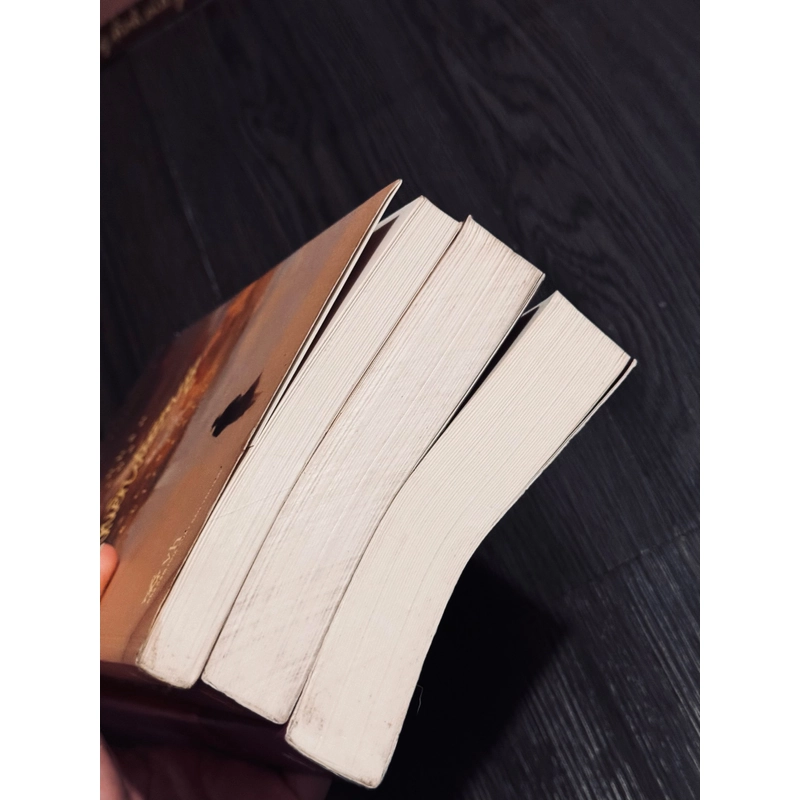 Combo 3 tác phẩm của Carlos Ruiz Zafón 507028