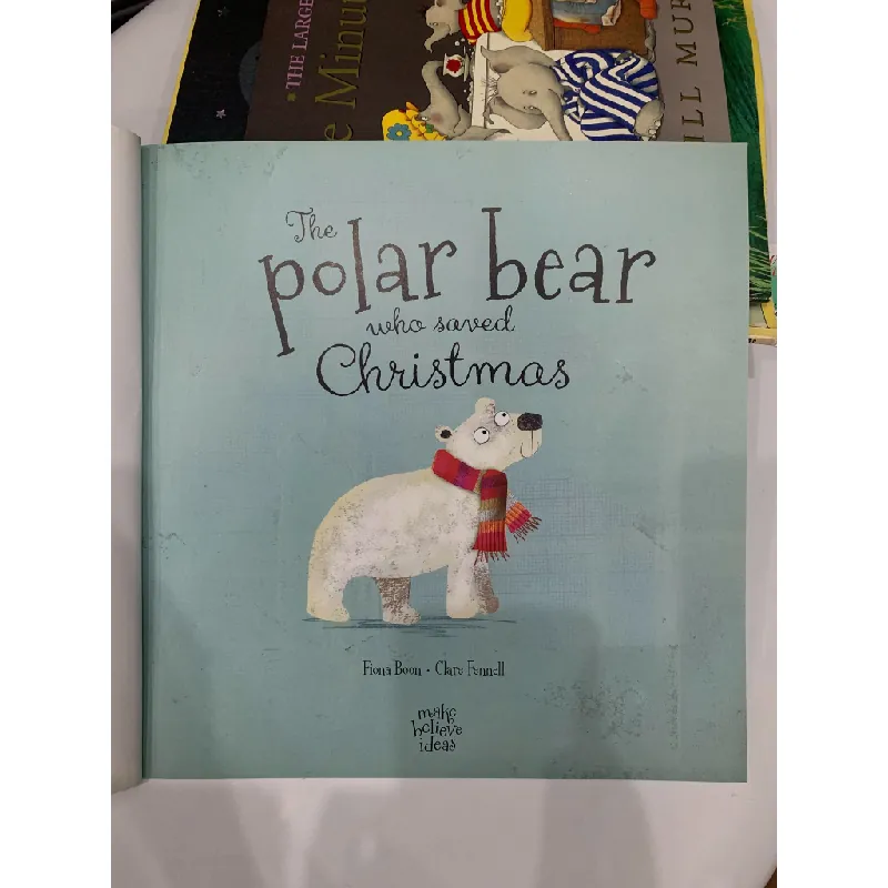 The Polar Bear Who Saved Christmas – Fiona Boon 559689