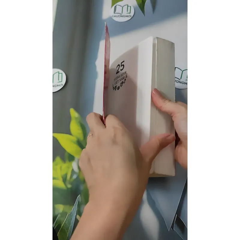 25 tướng lĩnh Việt Nam - Nguyễn Ngọc Phúc 928532