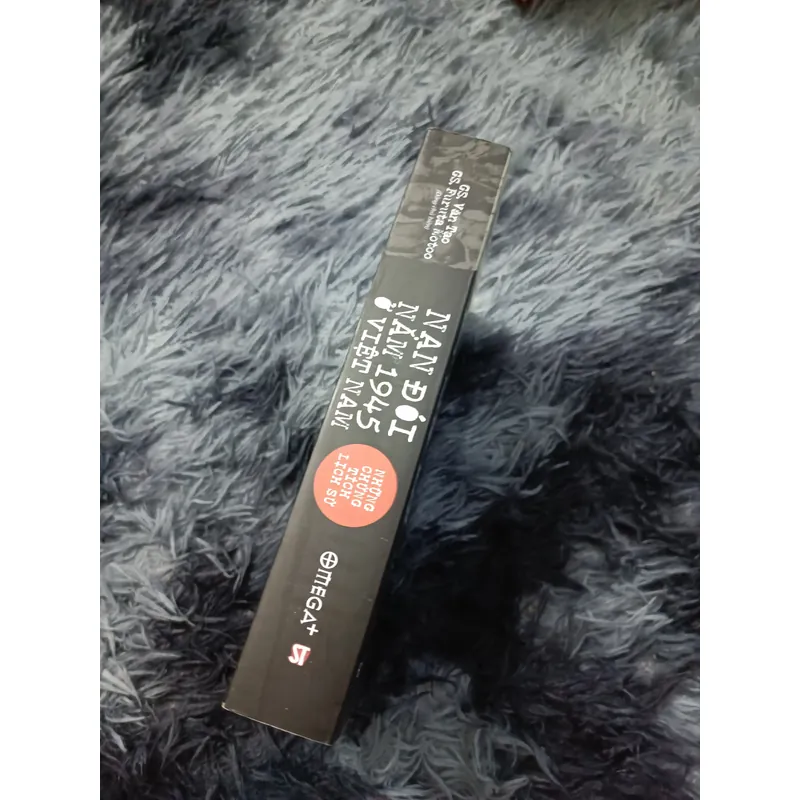 Nạn đói năm 1945 ở Việt Nam những chứng tích lịch sử 739749