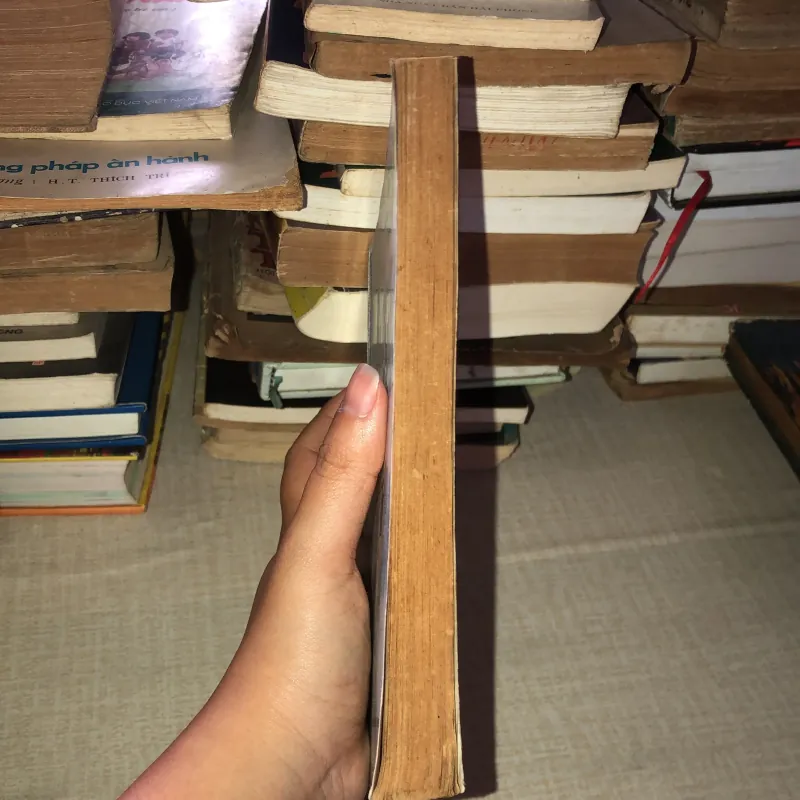 Phê bình bình luận văn học 976107