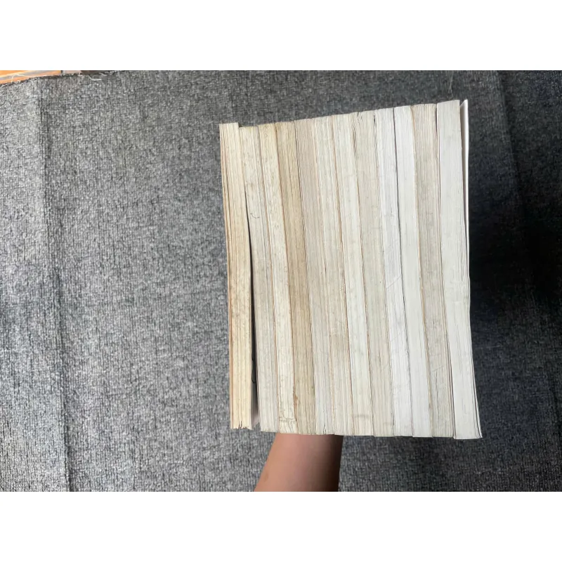 Truyện Ngọc Thô Tái Bản - Trọn Bộ 12 Tập - NXB Trẻ 787538