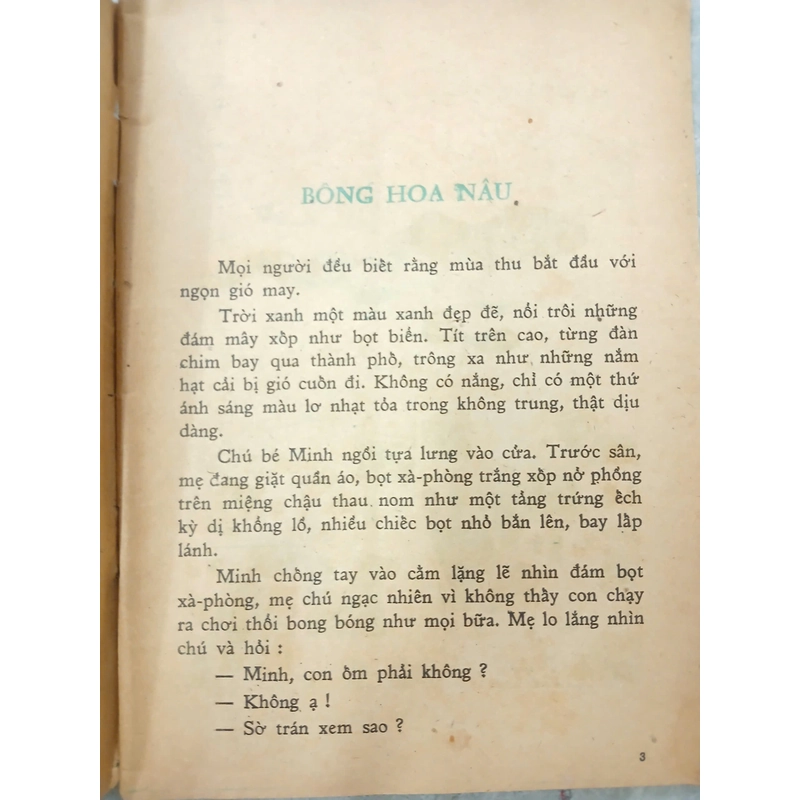 QUẦNG TRĂNG LƠ 548522