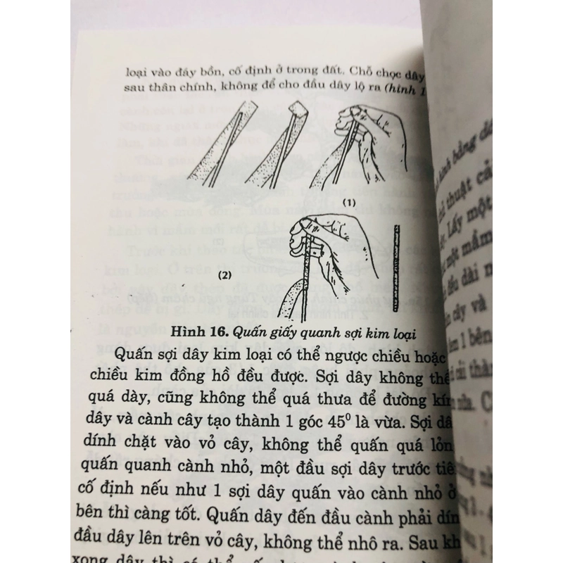 CẨM NANG BON SAI 447858