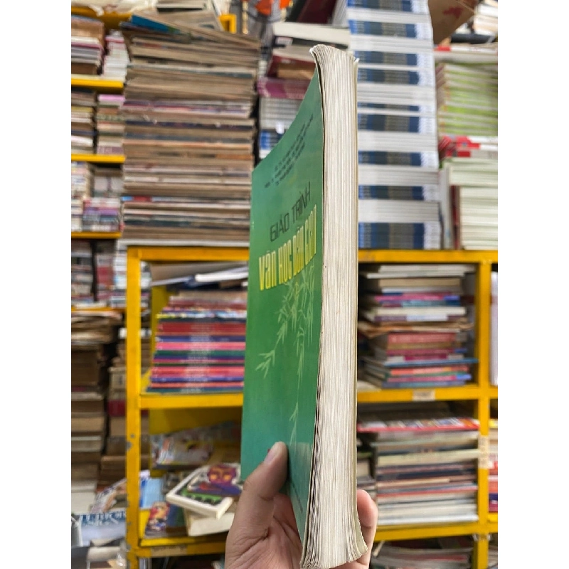 Giáo trình văn học dân gian - Gs. Ts. Vũ Anh Tuấn chủ biên 1013052