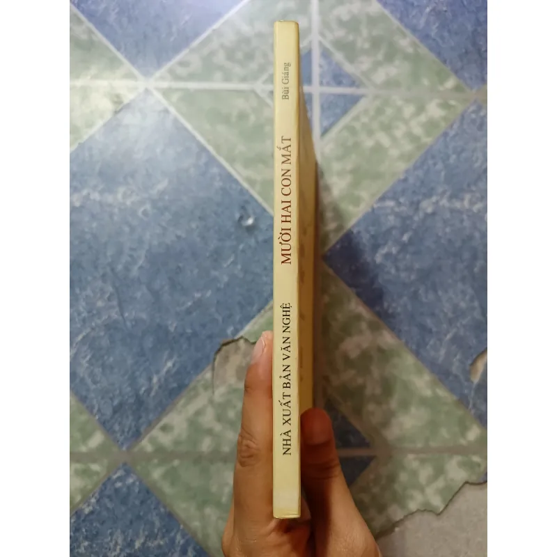 Mười hai con mắt ( Di cảo thơ ) I - Bùi Giáng 1000197