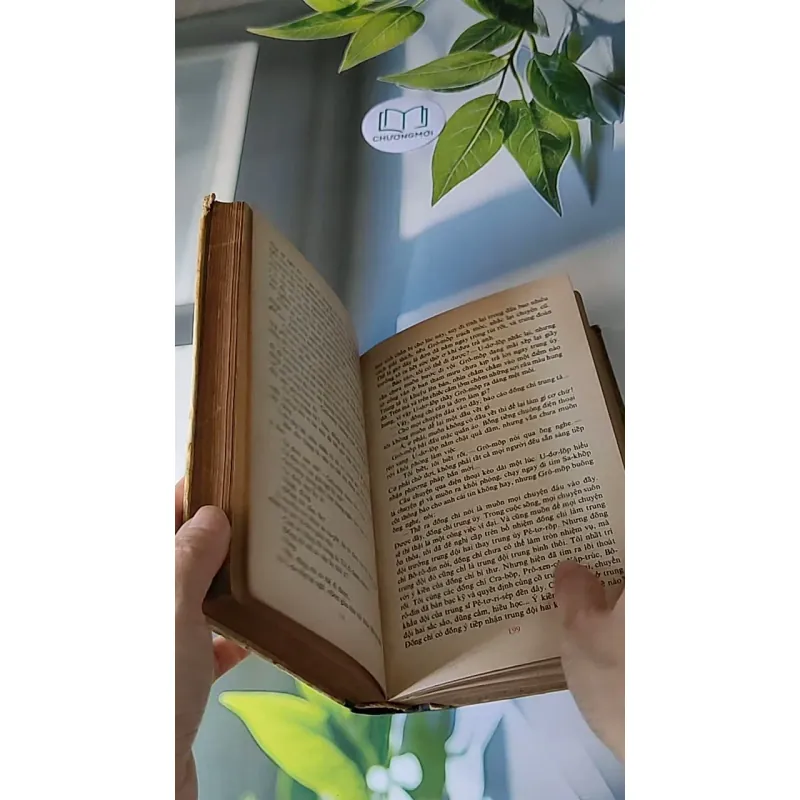 Người Thay Thế Chưa Tới (1986) - Nikolai Kambulev 607724