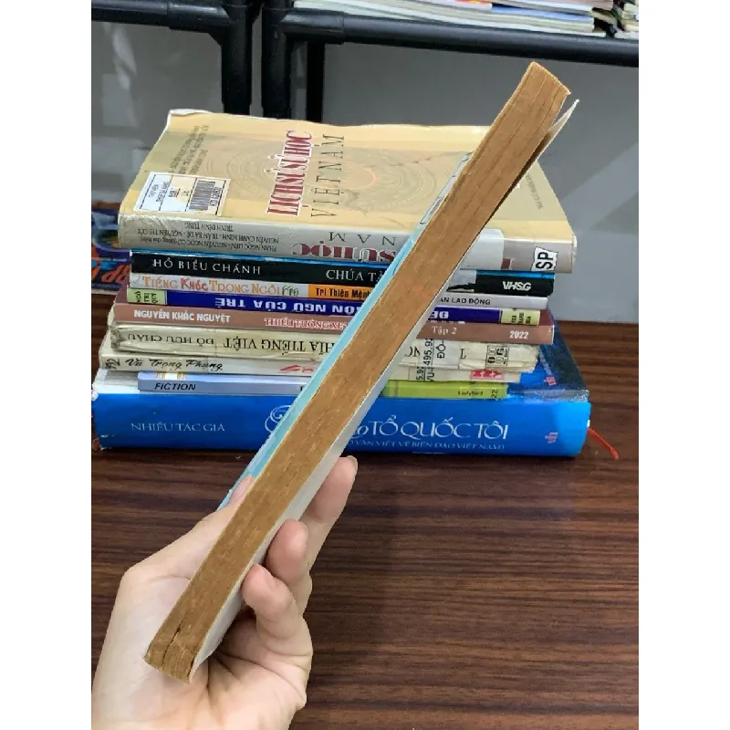 Văn học Việt Nam nửa cuối thế kỷ XVIII đầu thế kỷ XIX – Sách đại học sư phạm 591561