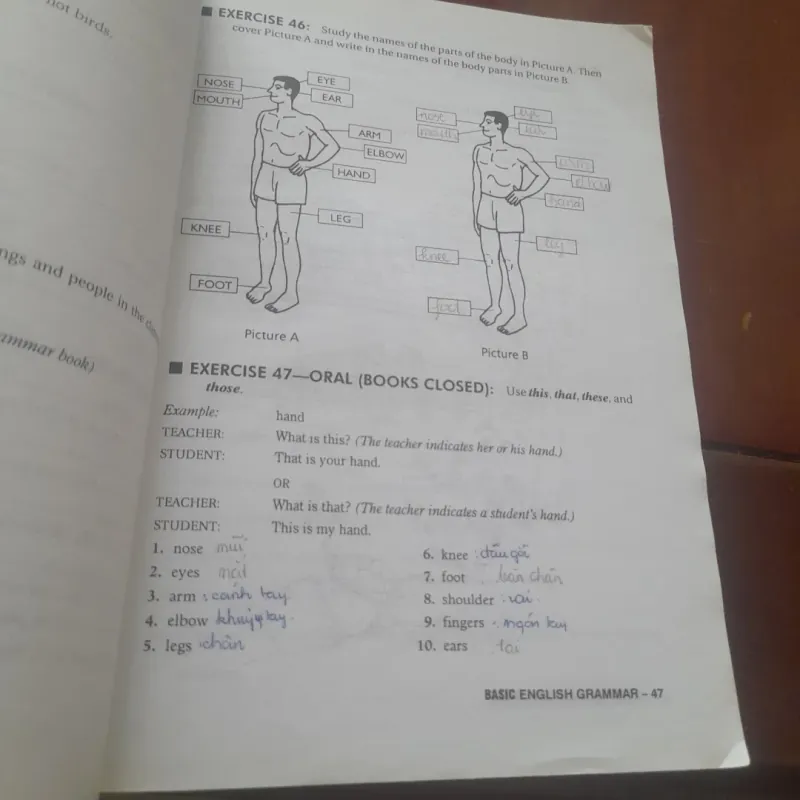 Betty Schrampfer Azar - BASIC ENGLISH GRAMMAR 931063