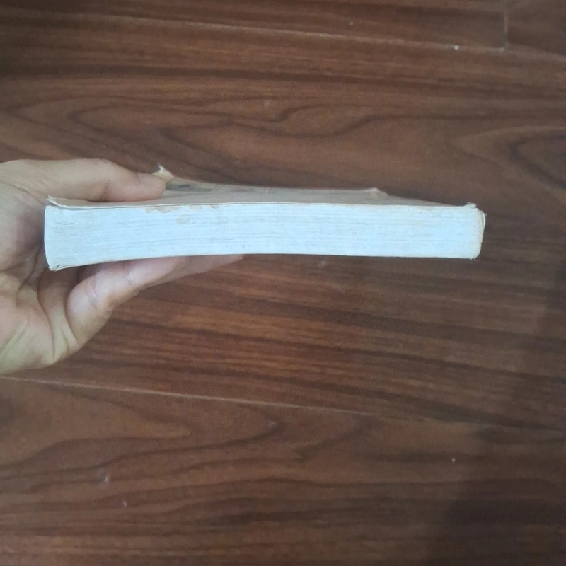 Thập đại mỹ nhân - Triệu phi yến 507991