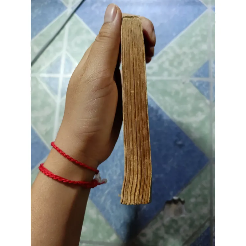 Những đứa trẻ chết già - Nguyễn Bình Phương 993611