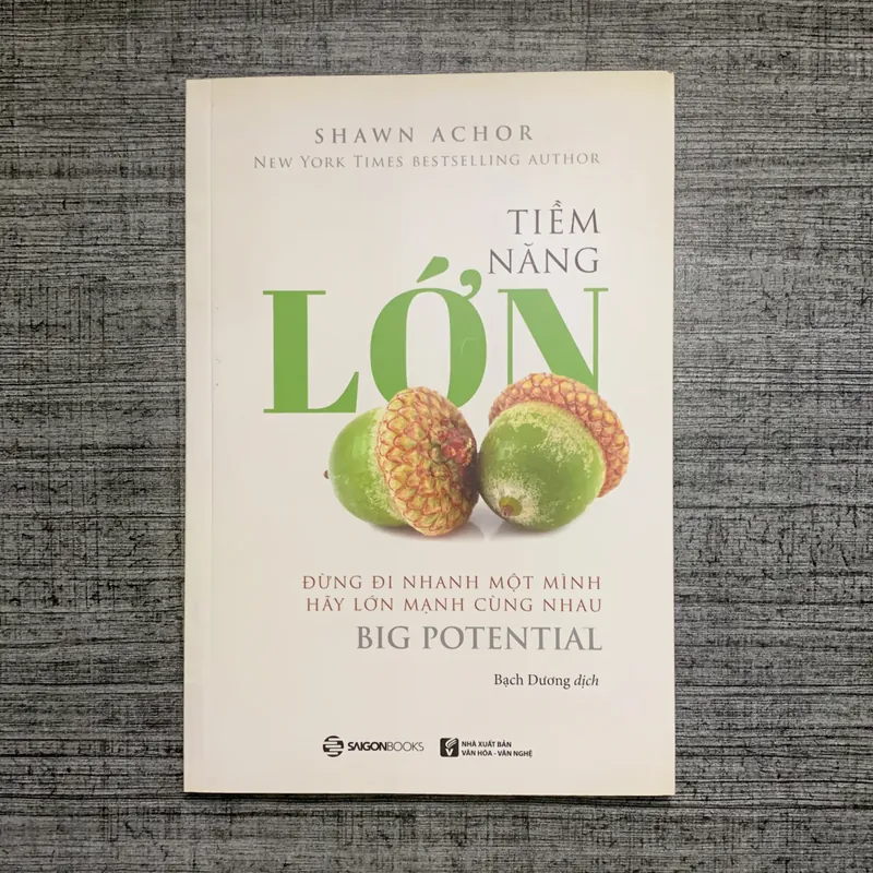 Tiềm Năng Lớn ( Big Potential) - Shawn Achor 707931