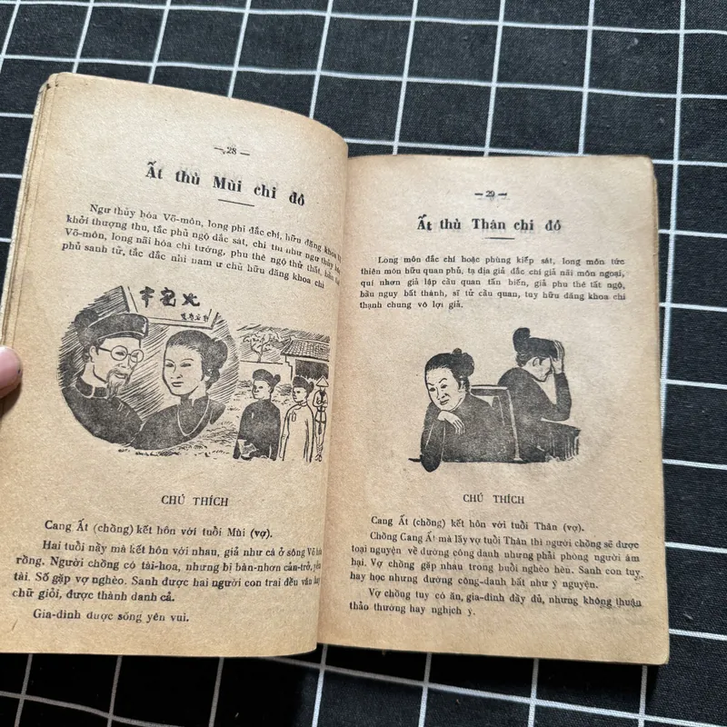 Cao ly đầu hình 592318