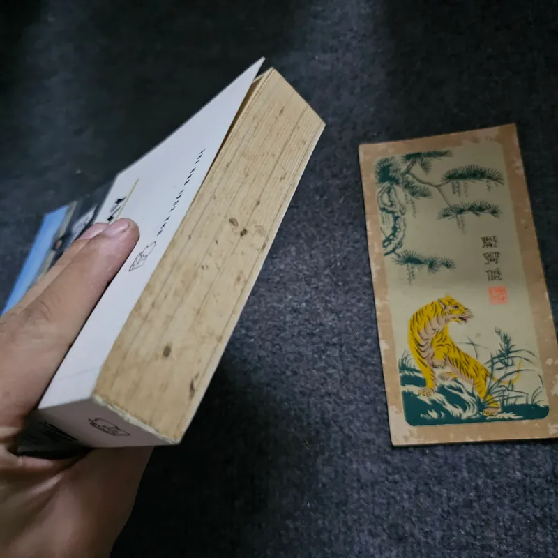 Xuyên Mỹ - Phan Việt 733074