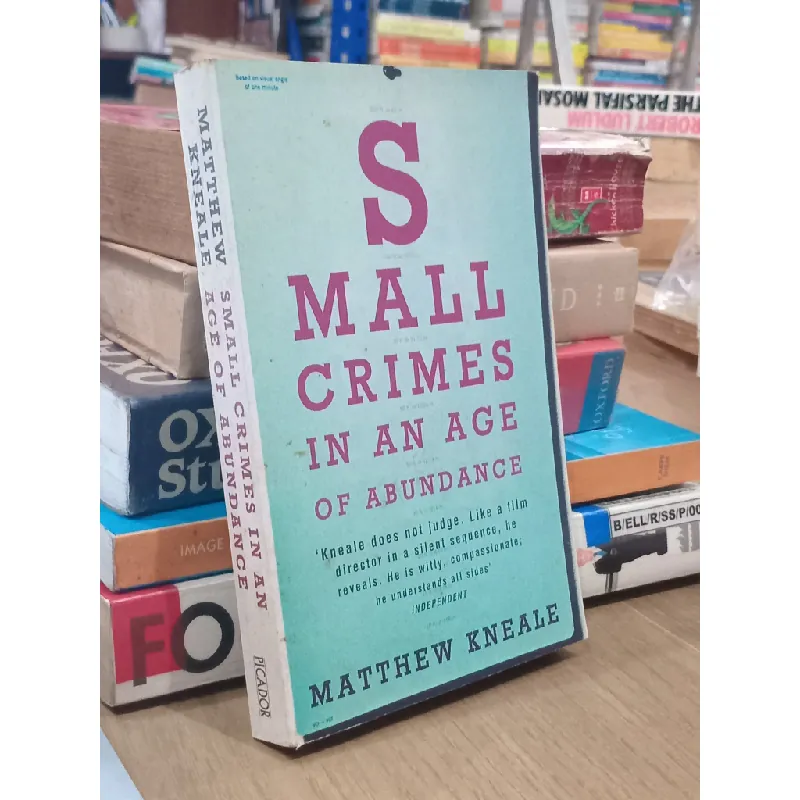 Small crimes in an ages of abundance - Matthew Kneale 675270