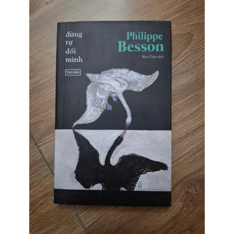 Đừng tự dối mình - Philippe Besson - Tiểu thuyết tâm lý 781197
