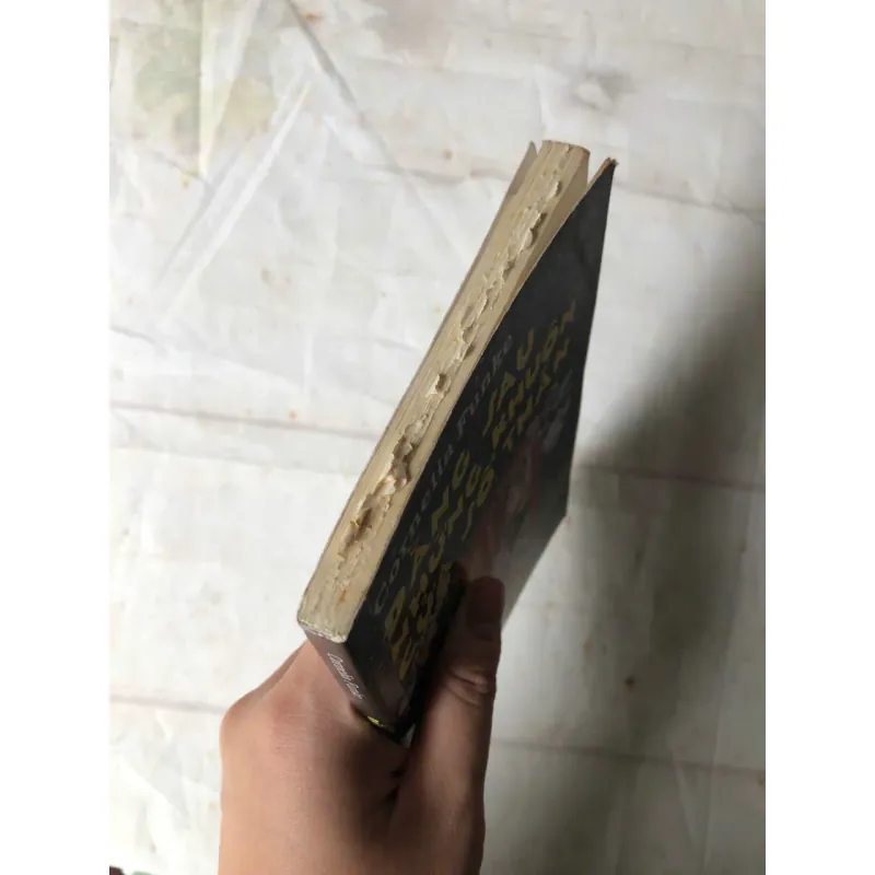 Đằng Sau Những Khuôn Cửa Sổ Thần - Cornelia Funke 750850