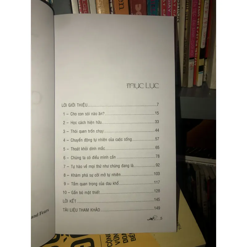 Cú nhảy - Thoát khỏi thói quen và nỗi sợ hãi - Pema Chodron  695623