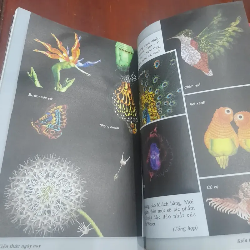 Tạp chí KIẾN THỨC NGÀY NAY số 867 ngày 10.09.2014 606593