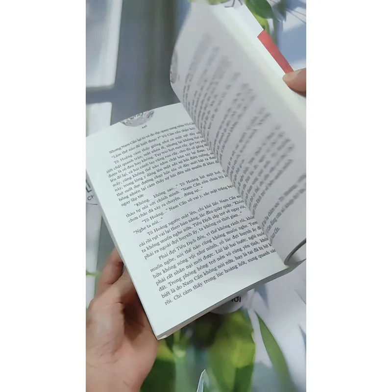 Nam Cực Tinh - Phong Duy 744707