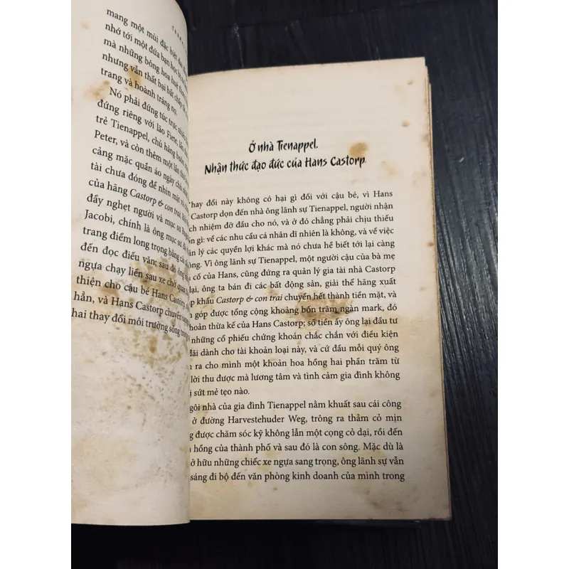 Trọn bộ núi thần - Thomas Mann (bản in cũ) 598702