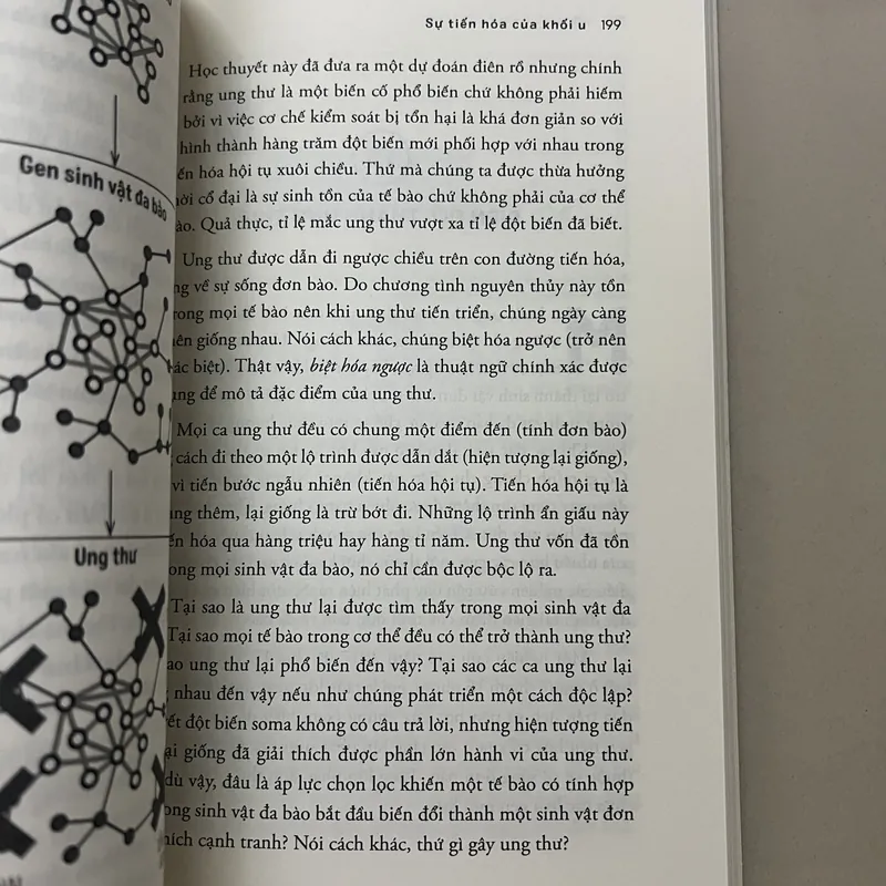 Mật Mã Ung Thư 576955