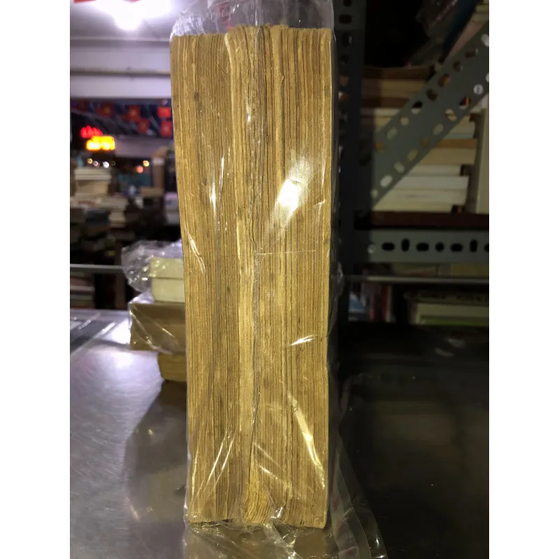 Người lữ hành kỳ dị - Harold Robbin 931246