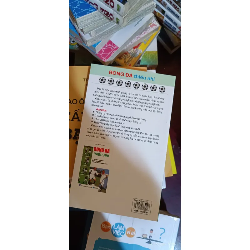 Bóng đá thiếu nhi 786587