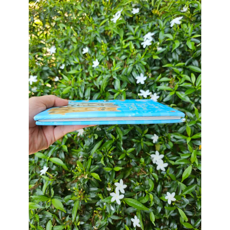 Cats and Kittens 995238