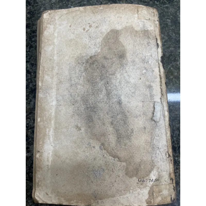 Lá cỏ Uytman XB 1981 763306