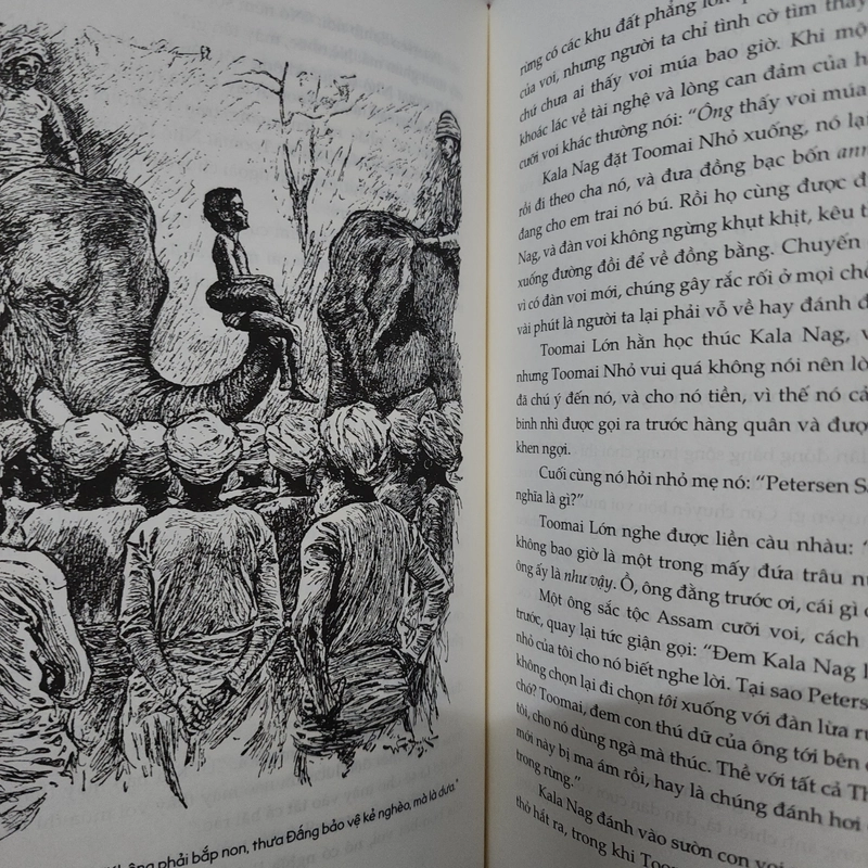 Sách Chuyện rừng xanh của Rudyard Kipling mới 90% 530296