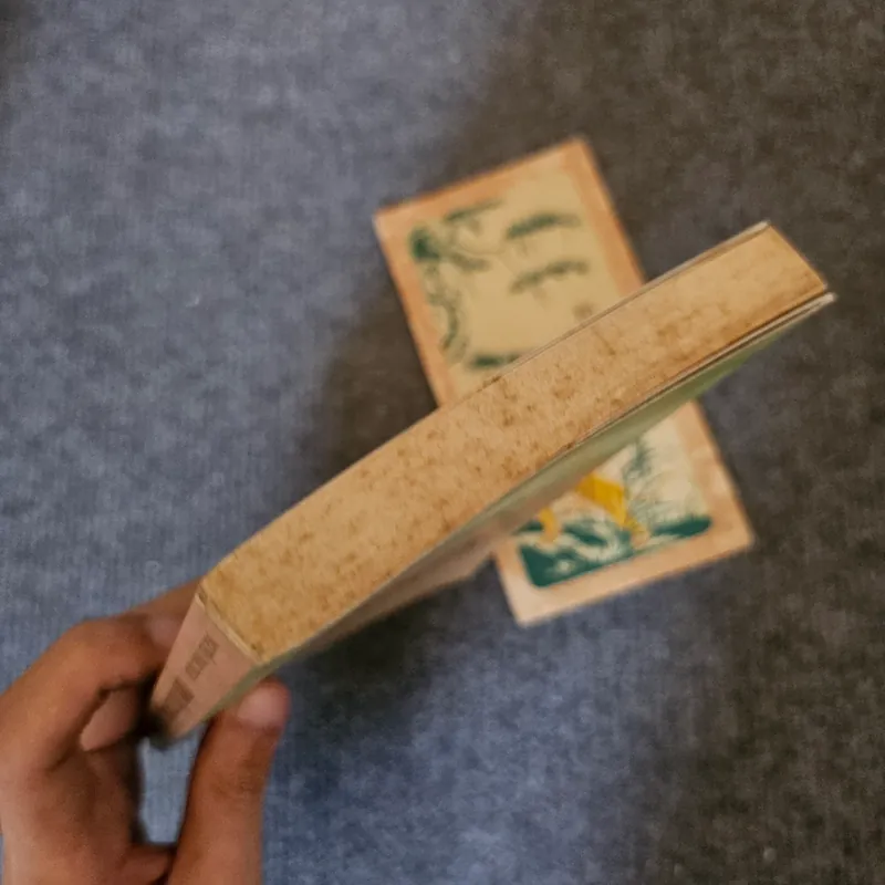 Vừa nhắm mắt vừa mở cửa sổ 735148