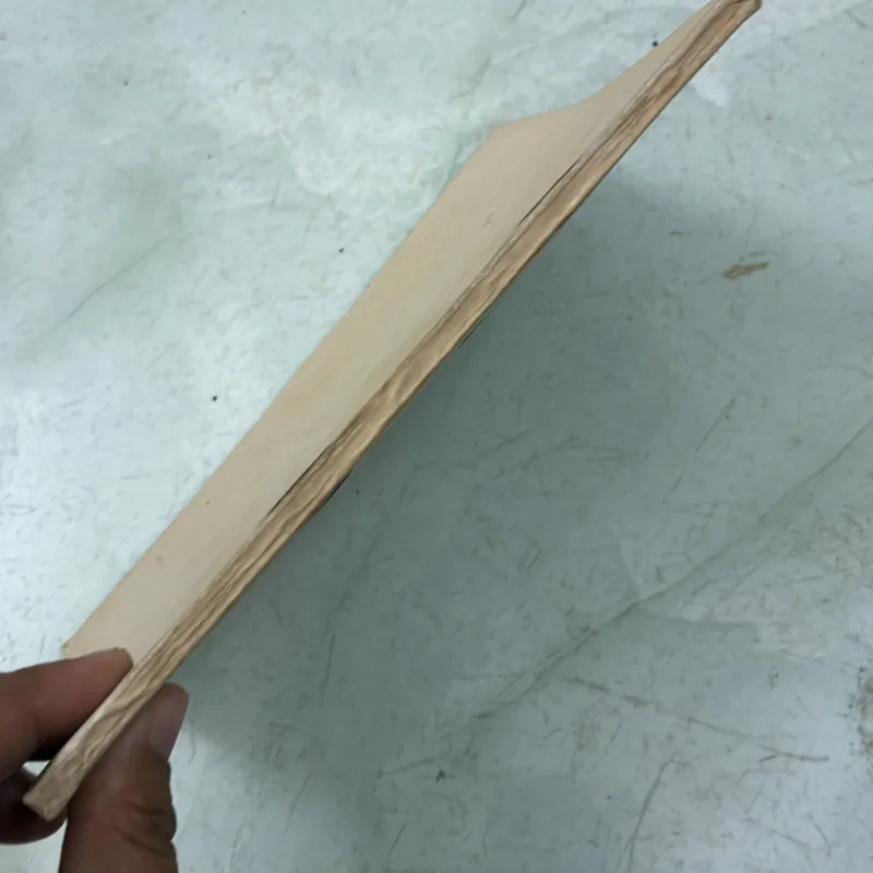 Một số nhiệm vụ đổi mới và chỉnh đốn Đảng - 1992s 998223