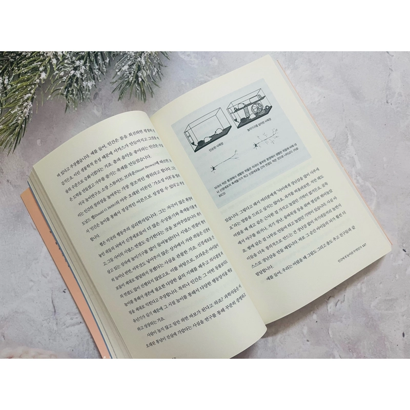 Sách tiếng Hàn 열두 발자국 496569